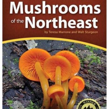 The Mushrooms of the Northeast