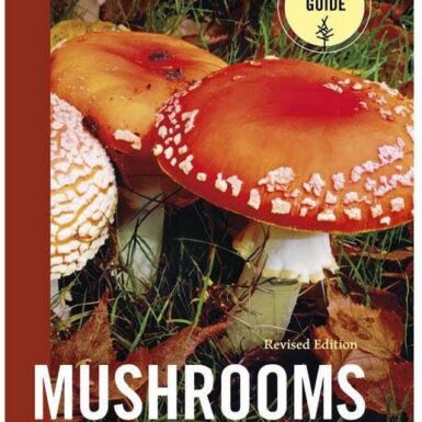 MUSHROOMS OF THE PACIFIC NORTHWEST